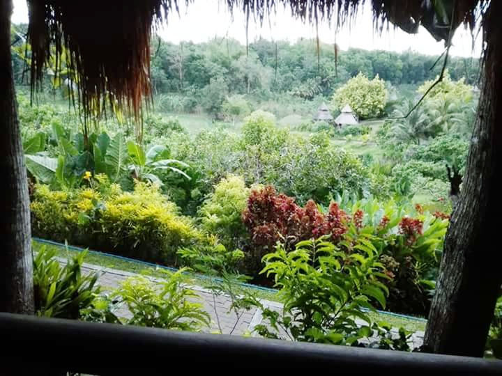 View from mangga cottage