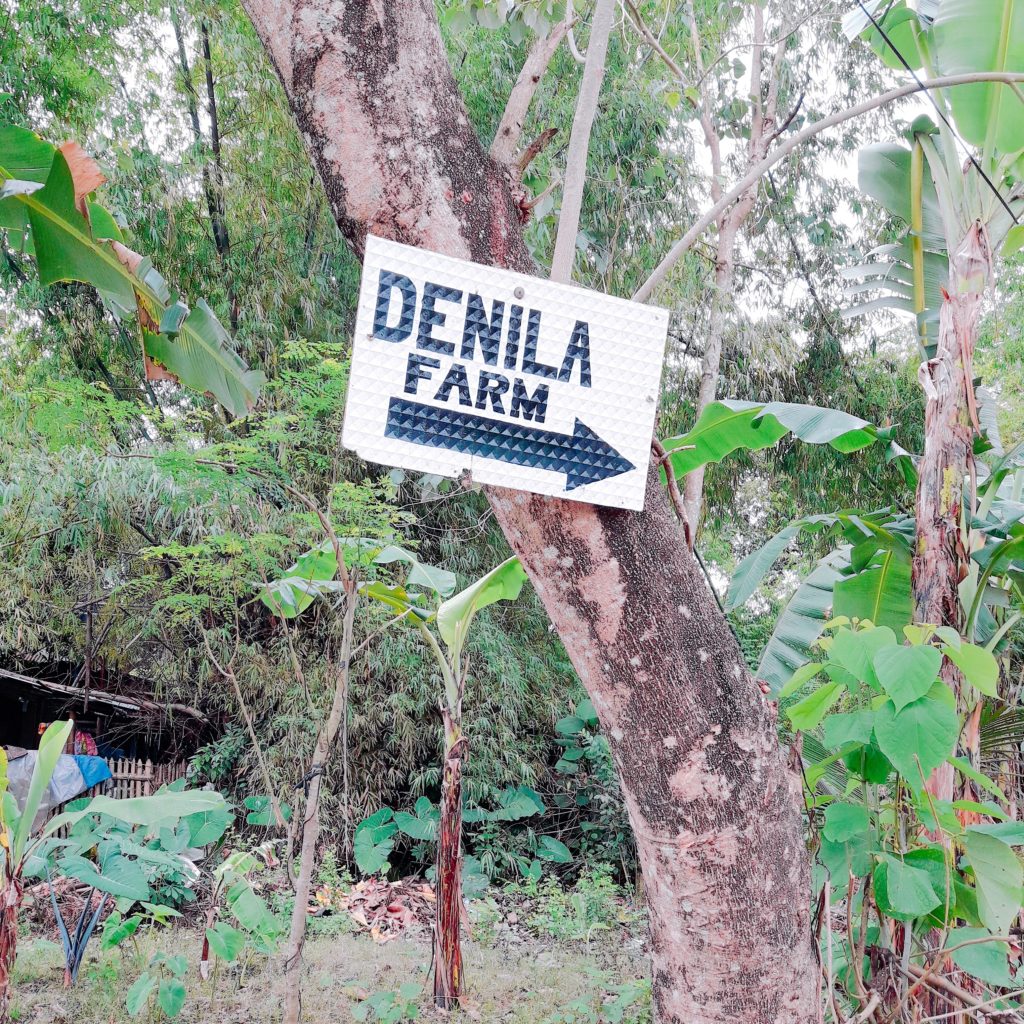 denila farm signage