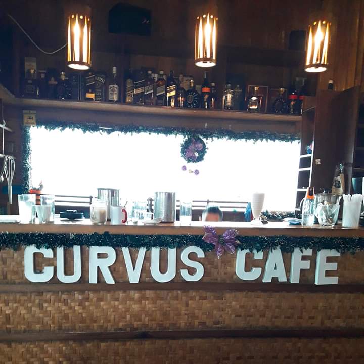 curvus reception