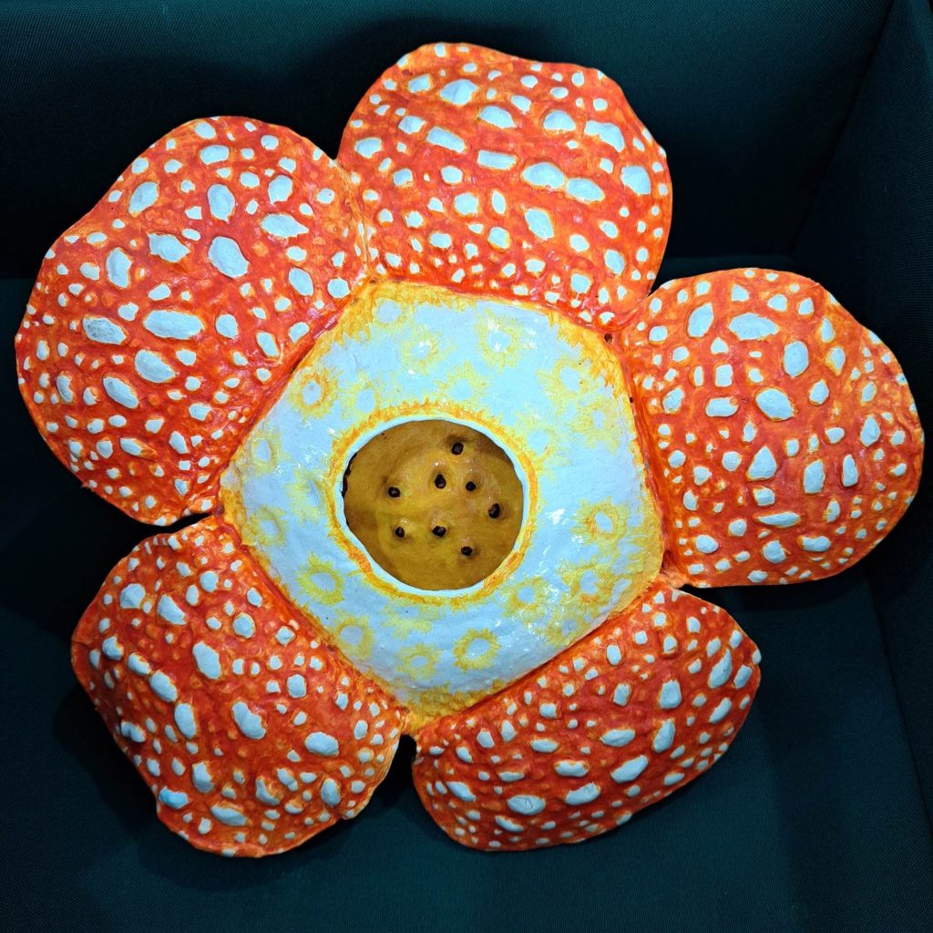 Rafflesia manillana