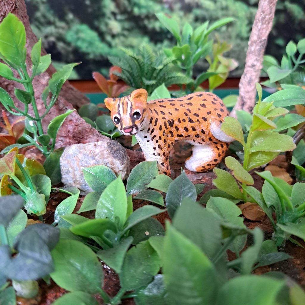 Visayan leopard cat