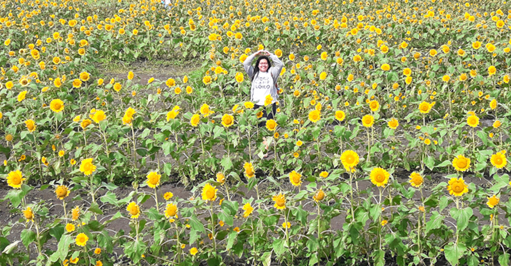 Sunflower Garden or Kalan-an Sa Garden