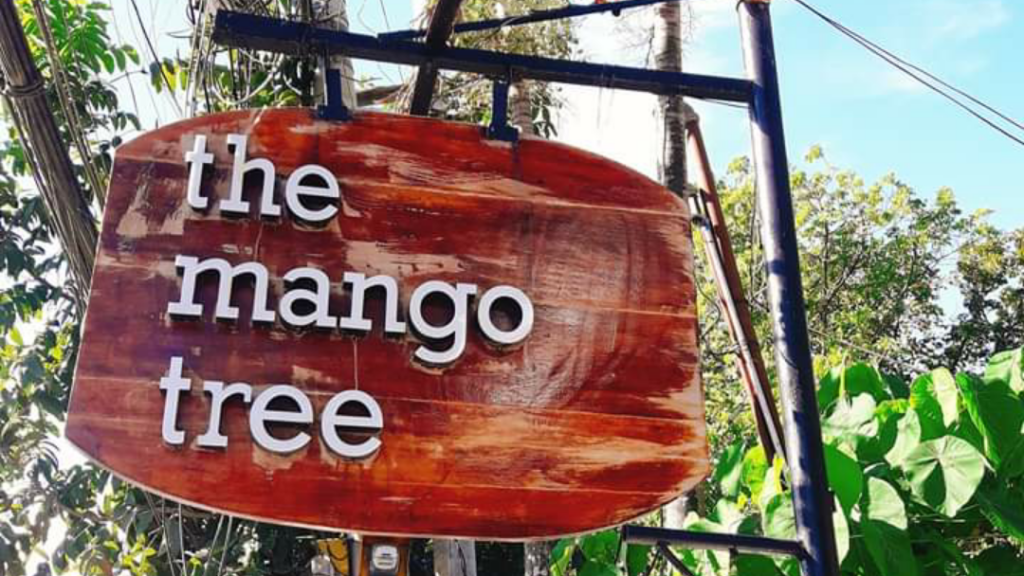 the mango tree featured