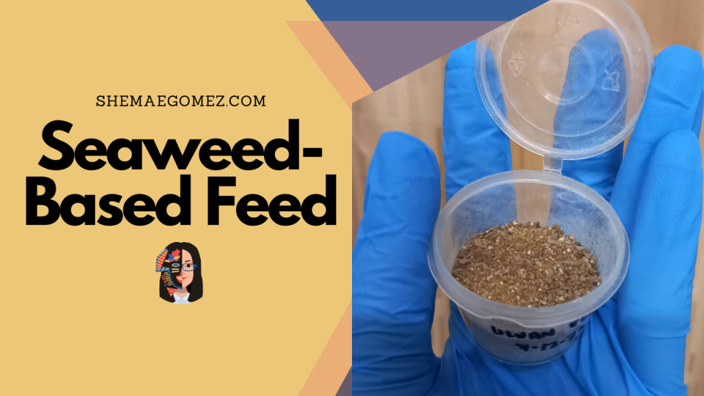 Seaweed-Based Feed