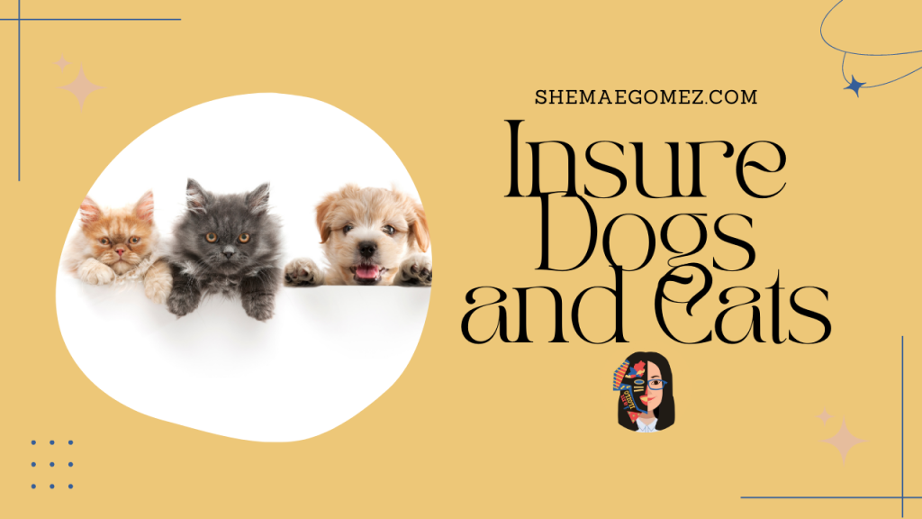 dogs and cats insurance