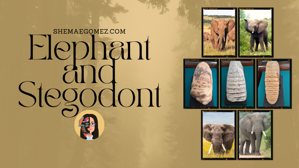 Elephant and Stegodont
