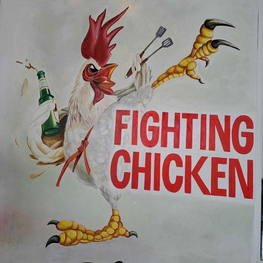 fighting chicken