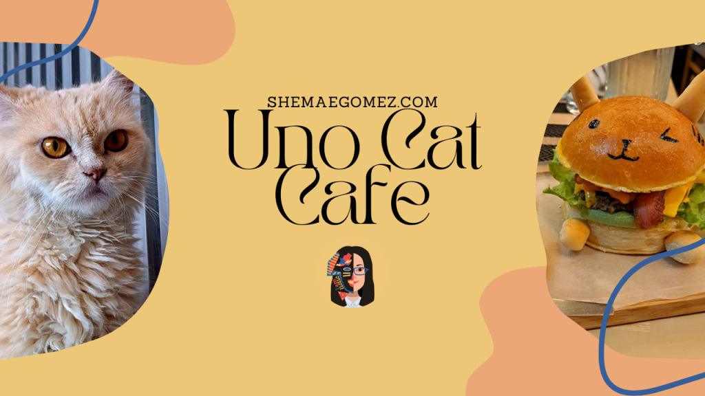 Uno Cat Cafe: Brewing Happiness, One Purr at a Time
