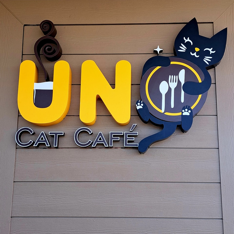 Uno Cat Cafe