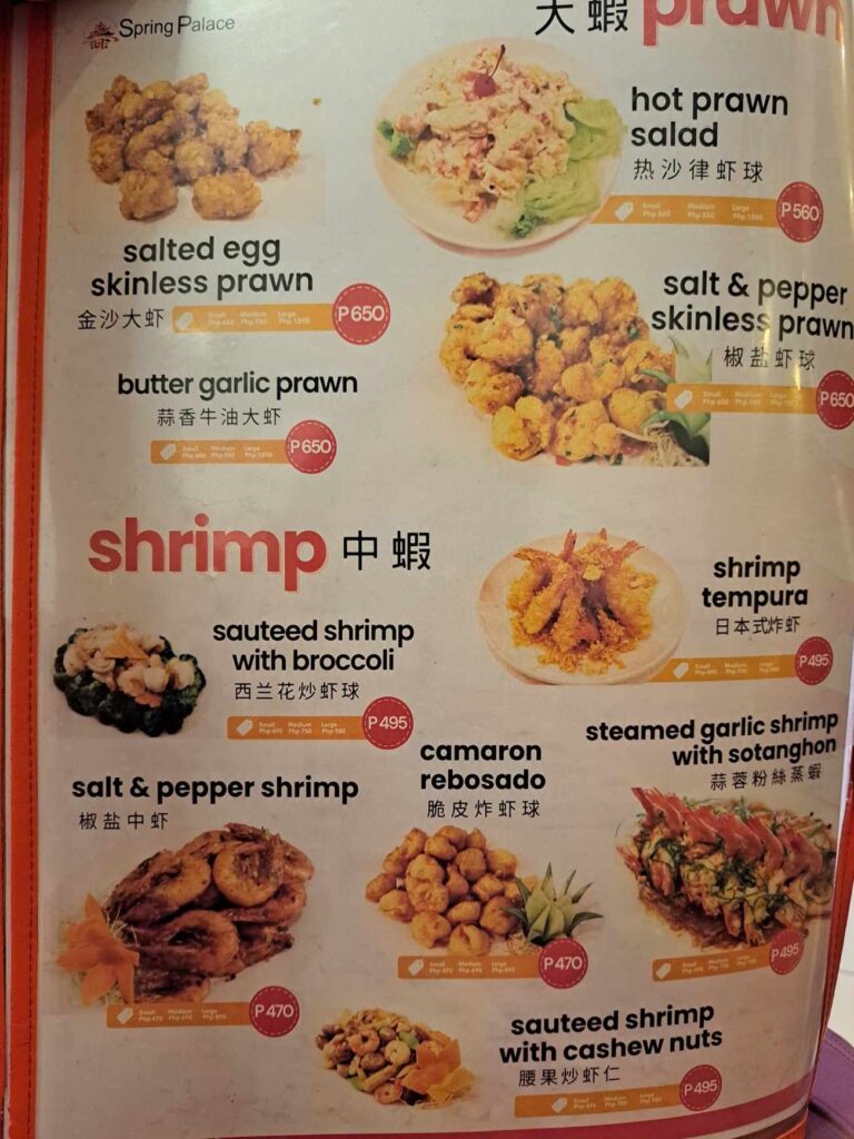 Spring Palace Menu 