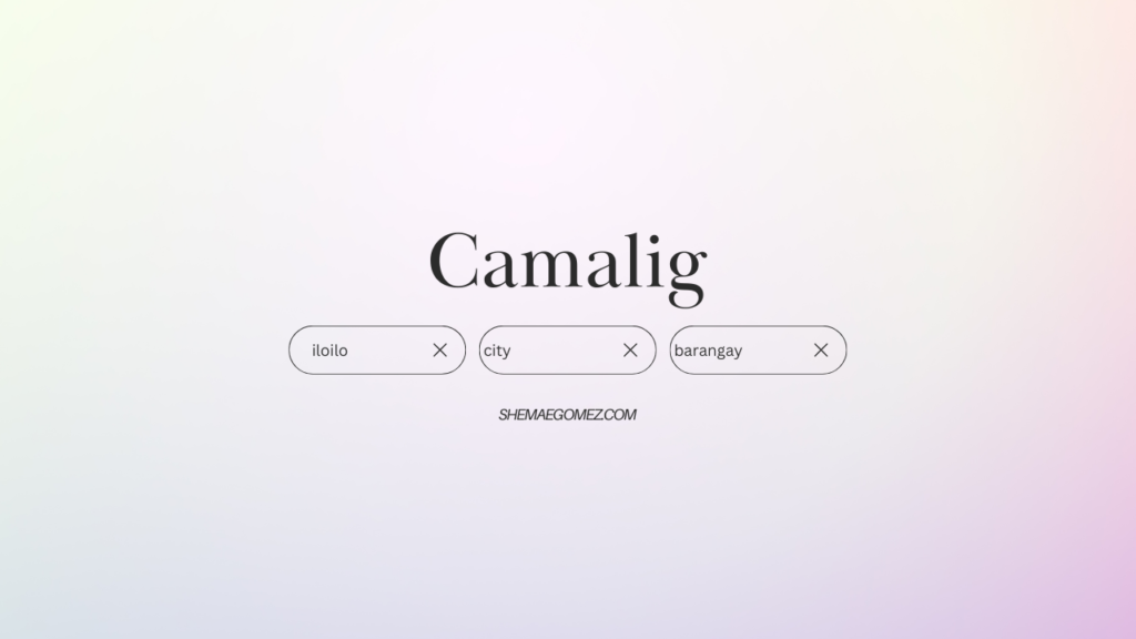 Barangay Camalig (Iloilo City)