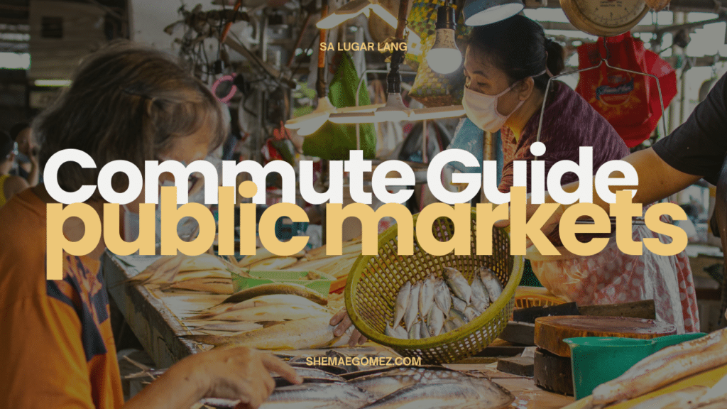 Commuters' Guide Going to Public Markets in Iloilo City