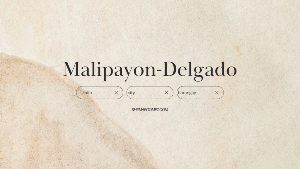 Barangay Malipayon-Delgado (Iloilo City)