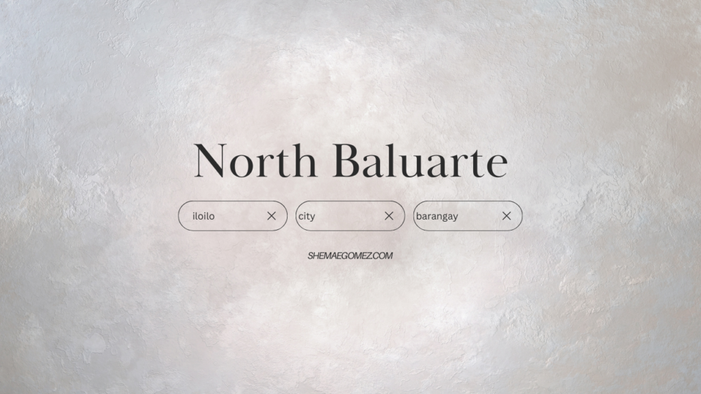 Barangay North Baluarte (Iloilo City)